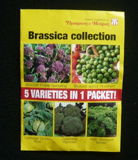 Seed Suppliers and Specialties – Gardeners Tips