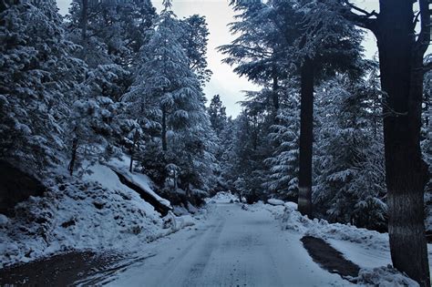 Kalpa in winters –Experience snowfall amidst the Kinnaur Kailash mountain