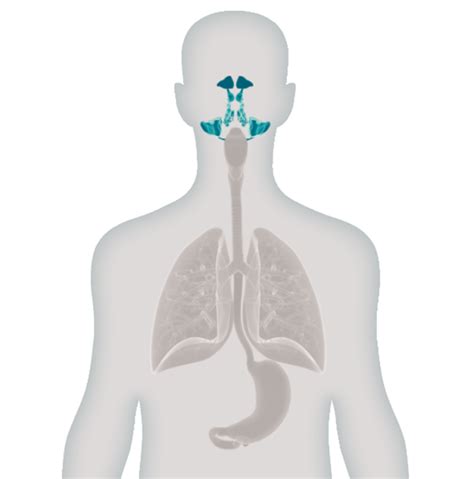 Chronic rhinosinusitis with nasal polyposis