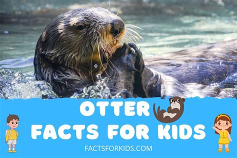 12 Otter Facts For Kids (All About Our Floating Friends) – Facts For Kids