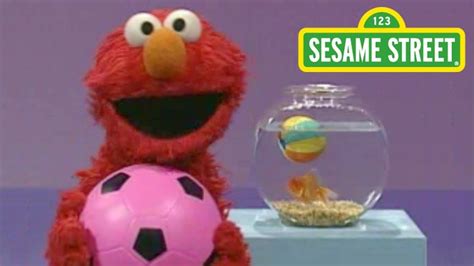 Sesame Street Episode 3886 Movie For Children Best Kids Show - YouTube