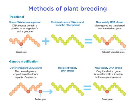 Select Examples of Improvements Resulting From Genetic Modifications of ...