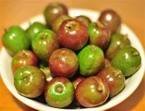 Siniguelas (Spondias purpurea) - in the cashew famiy and the fruits are ...