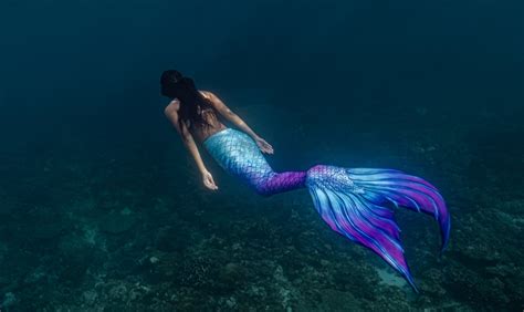 Are Mermaids Real? - The Habitat