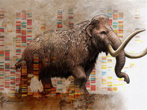 Nobel Prize Museum | DNA reveals the history of the mammoth