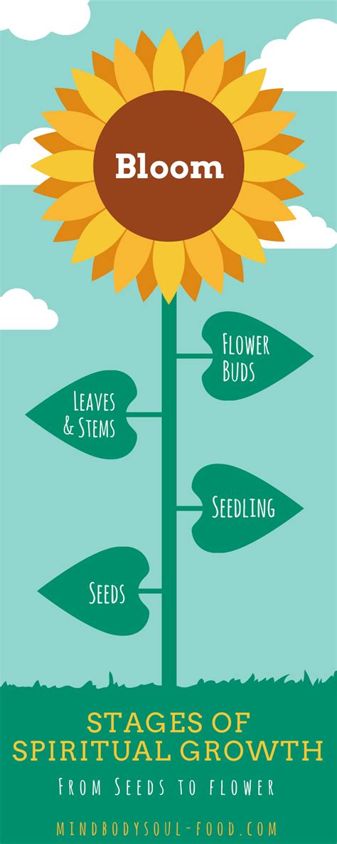 Infograph: The 5 Stages of Spiritual Development - Mind Body Soul Food