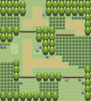 Pokémon Diamond and Pearl/Route 202 — StrategyWiki, the video game walkthrough and strategy ...