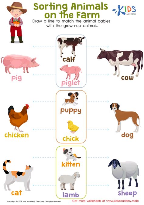 Sorting Animals on the Farm Worksheet: Free Printout for Kids