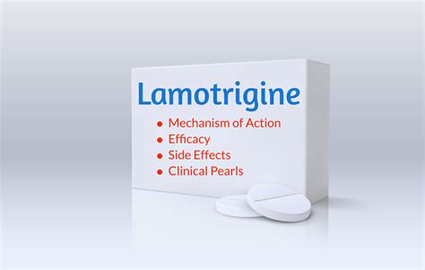 Normalerweise Schmelzen Im Wesentlichen lamotrigine mechanism of action ...