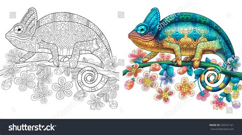 Coloring Page Chameleon Lizard Colorless Color Stock Vector (Royalty Free) 678101161 | Shutterstock