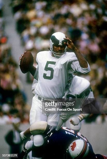 52 Philadelphia Eagles Qb Roman Gabriel Stock Photos, High-Res Pictures, and Images - Getty Images