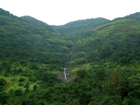 Amboli Ghat Waterfall: Tourist Holiday Destination In Maharashtra ...