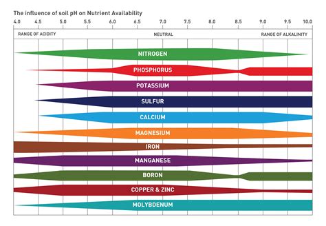 Corn Response to High pH Soils | Golden Harvest | Golden Harvest