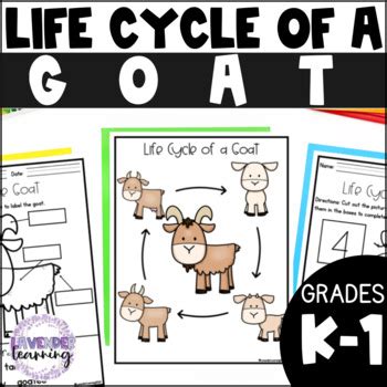 Life Cycle of a Goat Activities, Worksheets, Booklet, Posters - Goat Life Cycle