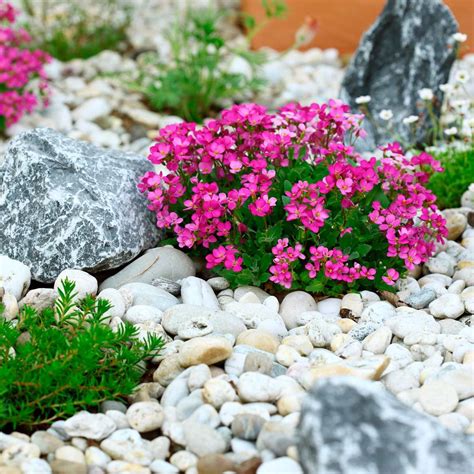 Pros and Cons of Rock Flower Beds | Family Handyman