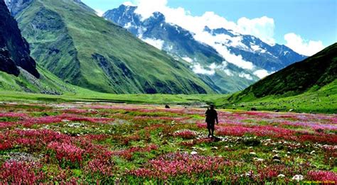 Valley Of Flowers Uttarakhand Package | Waytoindia.com