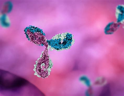 Understanding Monoclonal Antibody Unfolding and Aggregation