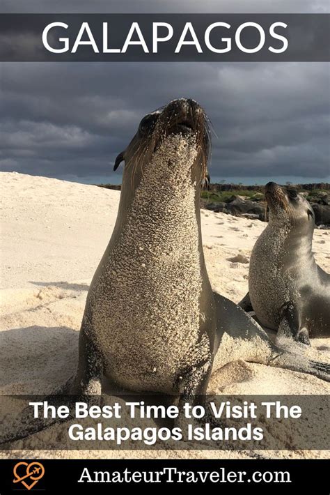 The Best Time to Visit The Galapagos Islands - Ez Pass