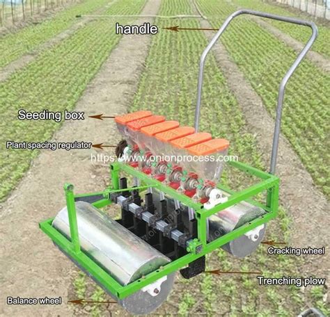 Manual Type Onion Seeds Planter Machine | Onion Peeling Machine, Onion Dicing Machine, Onion Slicer