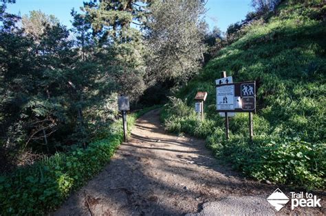 Hiking Mt. Wilson Trail To The Mt. Wilson Observatory via Sierra Madre - Trail to Peak