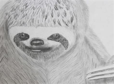 Student Art: Graphite Animals