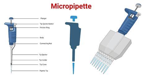 Micropipette: Types, Parts, Working, Uses, 5 Examples