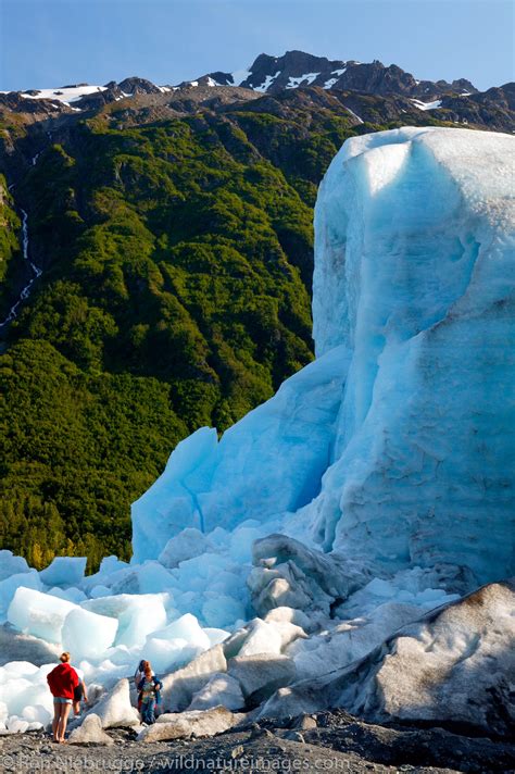 Exit Glacier | Photos by Ron Niebrugge