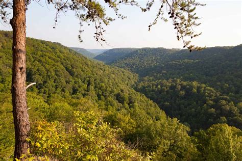 10 Fantastic Mountains In Alabama - A-Z Animals