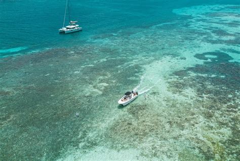 14 Best Places to Snorkel in Antigua | Celebrity Cruises