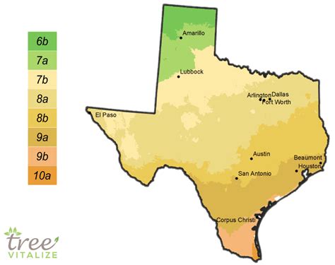 Planting Zones Texas - Hardiness, Gardening & Climate Zone