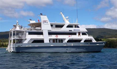 Small ship cruise in Tasmania with Coral Expeditions - Avid Cruiser