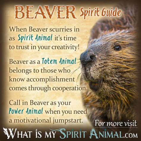 Beaver Symbolism & Meaning | Spirit, Totem & Power Animal