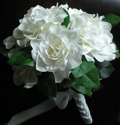 Gardênia (Gardenia spp.) -Use as flores para atrair amor; | Gardenia bouquet, Gardenia wedding ...