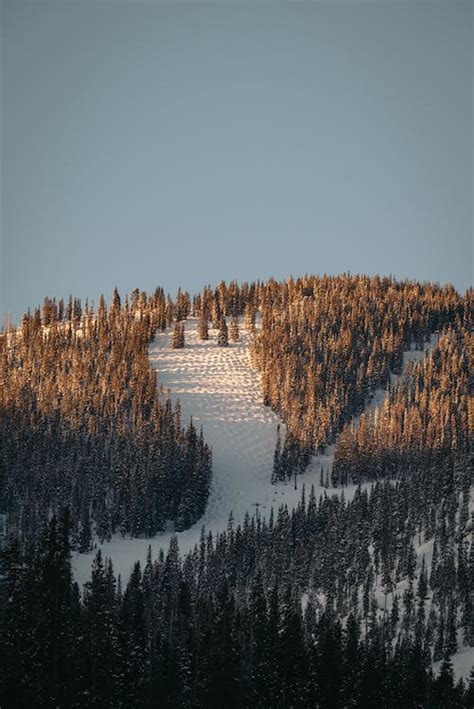 View of a Hill in Winter · Free Stock Photo