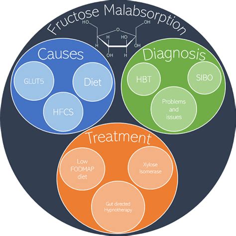 Fructose malabsorption: causes, diagnosis and treatment | British Journal of Nutrition ...