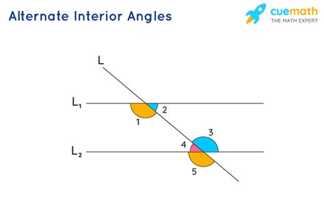 Alternate Angles Definition Formula Examples - vrogue.co