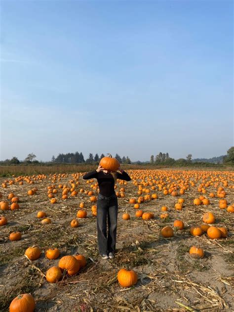 Pumpkin patch pictures | Pumpkin patch pictures, Pumpkin patch photoshoot, Fall photoshoot