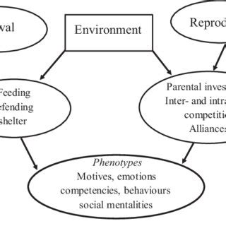 Evolutionary challenges and human phenotypes. Adapted from Gilbert... | Download Scientific Diagram