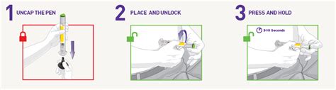 Trulicity Diagram | Quizlet