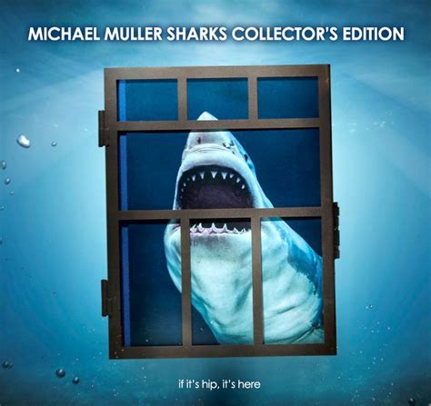 Michael Muller Sharks Collector's Edition In A Shark Cage