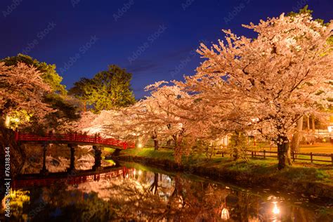 Cherry blossoms at the Hirosaki Castle Park in Hirosaki, Aomori, Stock Photo | Adobe Stock