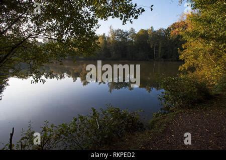 Lake at Swanwick Lakes Hampshire and Isle of Wight Wildlife Trust ...