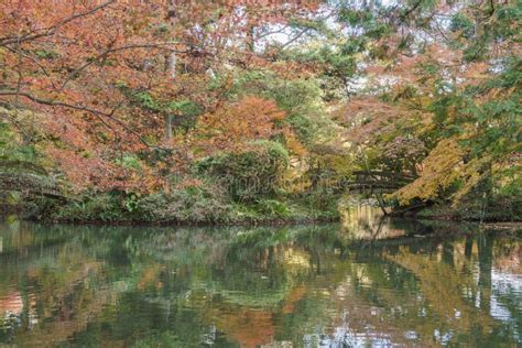 Beautiful Fall Color of Kyoto Botanical Garden Stock Photo - Image of ...