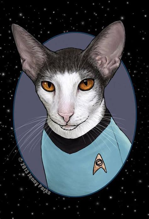 star trek cats book - Good Inside Forum Slideshow