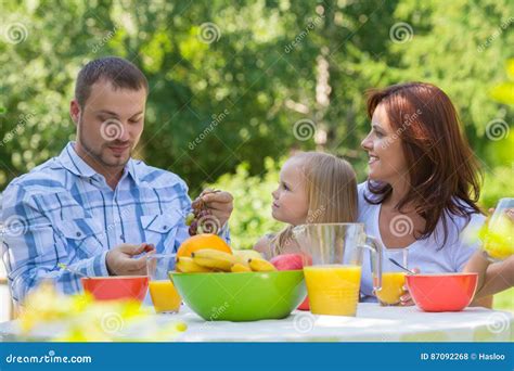 Family Eating Together Outdoors at Summer Park Stock Photo - Image of child, food: 87092268