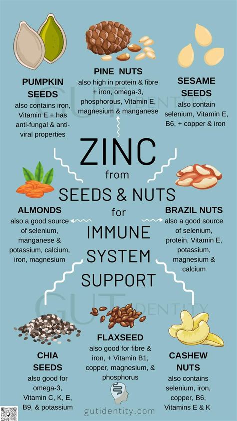 Zinc from nuts seeds for immune system support gut health nutrition ...