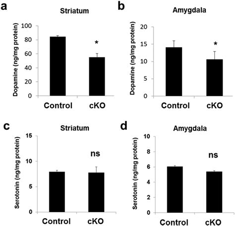 Dopamine content, not serotonin content, is decreased in the striatum ...