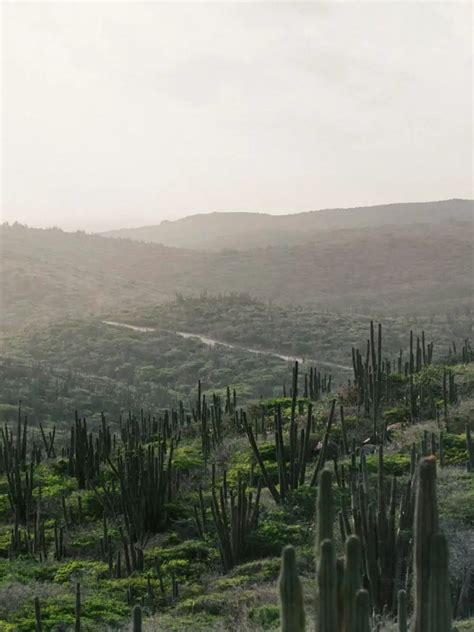 Everything You Need to Know About Arikok National Park - This Rare Earth