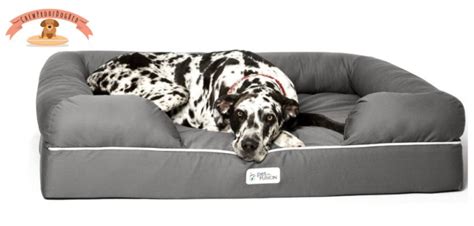 Great Dane Dog Bed 10 Best Extra Large Dog Bed for Great Dane in 2022