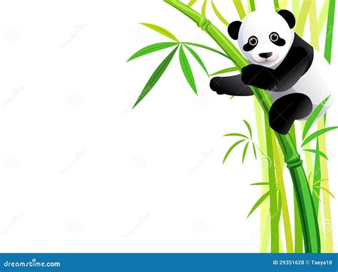 Panda on bamboo stock illustration. Illustration of graphic - 29351628